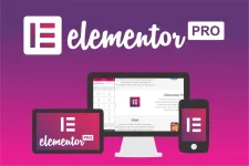 ele_pro.webp